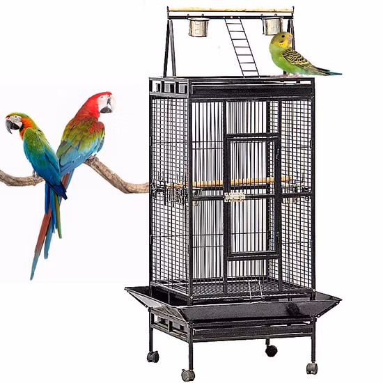 High Quality Metal Stainless Steel Pet Macaw Parrot Pigeon Large Flight Bird Aviary Cage Supplier Near Me