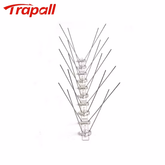 Flexible UV Treatment Stainless Steel Anti Bird Spike Pigeons Cat Control