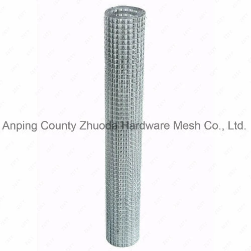 Hot Dipped Galvanized After Welding Chicken Wire Mesh Rabbit Wire Mesh Pigeon Wire Mesh