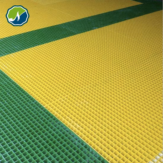 비둘기 레이싱 안티