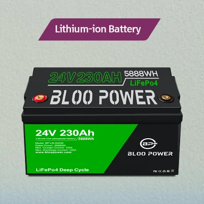 Bloopower 맞춤형 스토리지 12V 100 Ah, 인버터 Motorhome Agv LED 낚시 통신 스테이션 용 BMS 인산염 에너지 포함